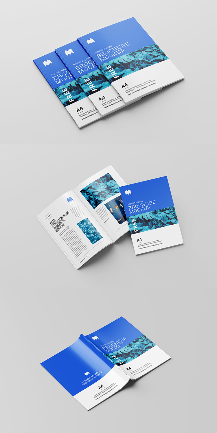 Download Binding Brochure Mockup - Find the Perfect Creative ...